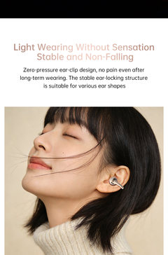 AIDG-220 Sports Ear-hook Bluetooth5.4 Headphones IPX8 Waterproof 2×25mAh Buds&300mAh Case Battery